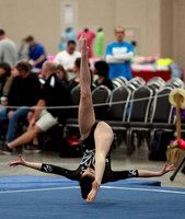 Gymnastics Photos