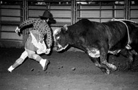 28 Oct 1988