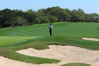 Greg Norman